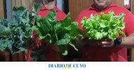 Los Bomberos Voluntarios de Albardón cultivan sus propias verduras hidropónicas