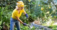 Devon households must do 1 thing in September to avoid costly damage in gardens