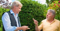 Can I cut down neighbour's trees if blocking my light? Gardeners all given exact same answer by 4 experts