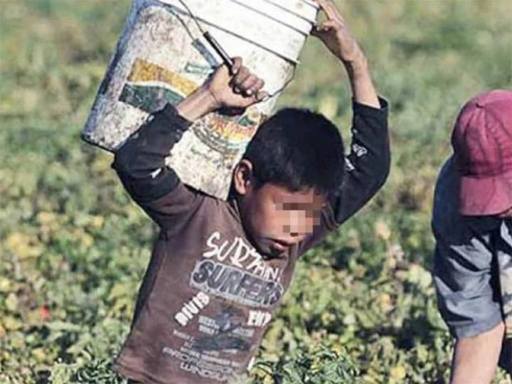 Cifras del trabajo infantil impactaron en Uruguay