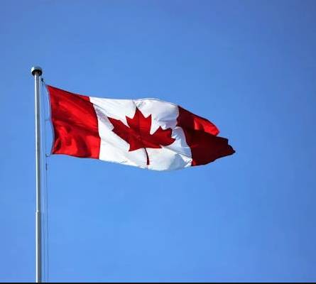 Canada Lists Bishnoi Gang As Terrorist Entity