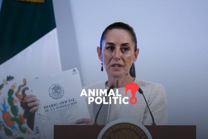Si la Ley de Amparo se aprueba sin cambios perjudicará a ciudadanos y derechos colectivos