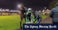 Horse headbutts jockey: Micheal Hellyer incredibly lucky after Toowoomba incident