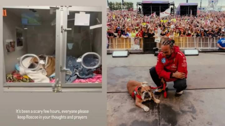 El llamamiento de Lewis Hamilton por su perro Roscoe, ingresado de urgencia
