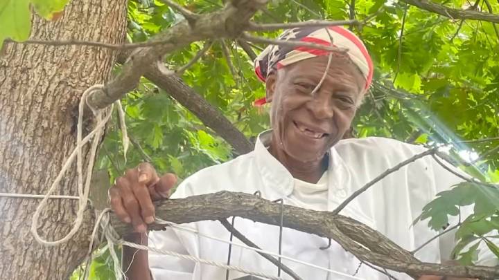 Grandmother walking back from ShopRite ID’d as hit-and-run victim – NBC10 Philadelphia