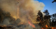 Aumentan hasta un 75% las ayudas destinadas a la creación de empresas en las zonas afectadas por lo incendios