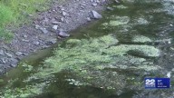 Fed up, groups demand solution to sewer overflows