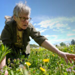 Foraging revival: How wild food enthusiasts are reconnecting with nature
