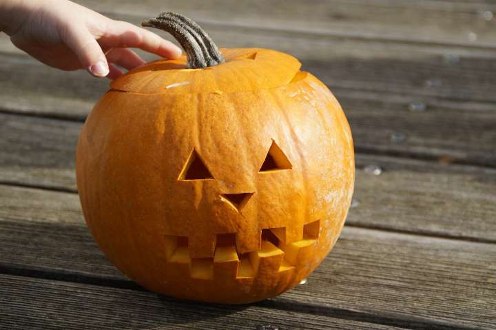 Dania Fall Festival includes a pumpkin patch & entertainment