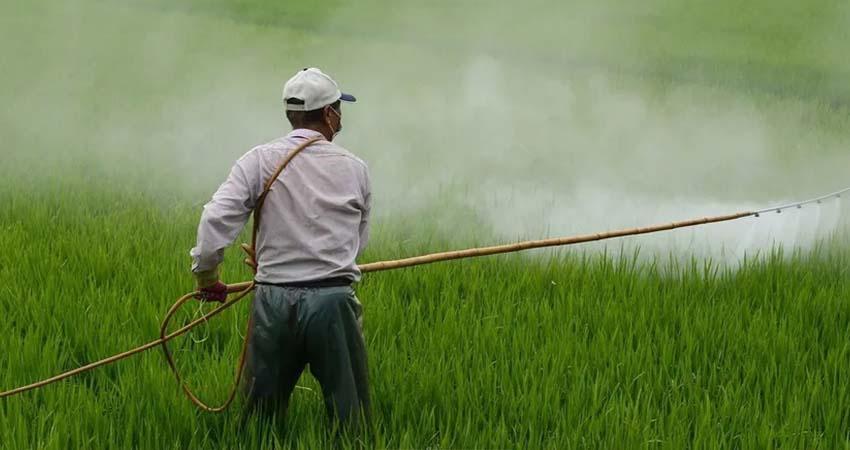 Prohíbe México el uso de 35 moléculas plaguicidas: Son 'altamente peligrosas'