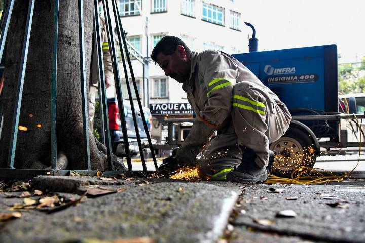 Retiran estructuras que dañaban árboles en la colonia Del Valle Centro