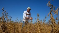 Trump's trade battle with China puts US soybean farmers in peril