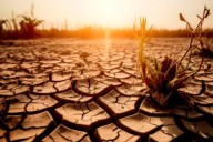 Financiamiento del cambio climático en tiempos de negacionismo, por Leonardo Stanley