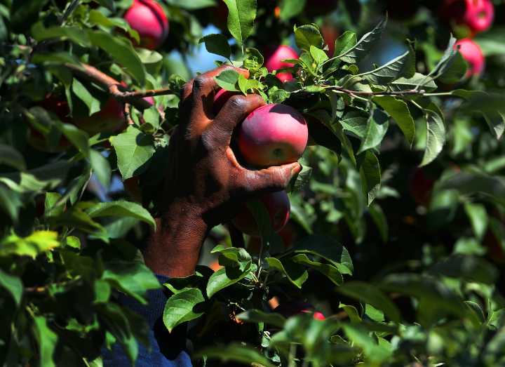 This stunning 114-year-old orchard in Upstate NY was just ranked among the best in America