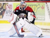 Maroons alumni make happy return to Chatham with Saginaw Spirit