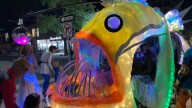Photos from the 2025 Eugene BRiGHT Parade