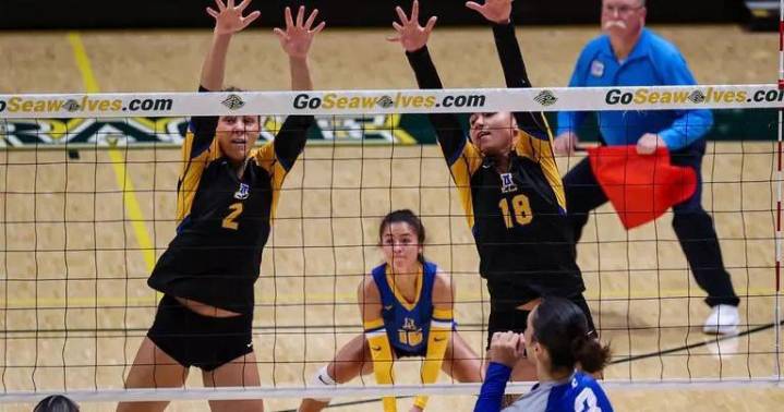 UAF volleyball goes unbeaten at UAA Volleyball Invitational, moves to 6