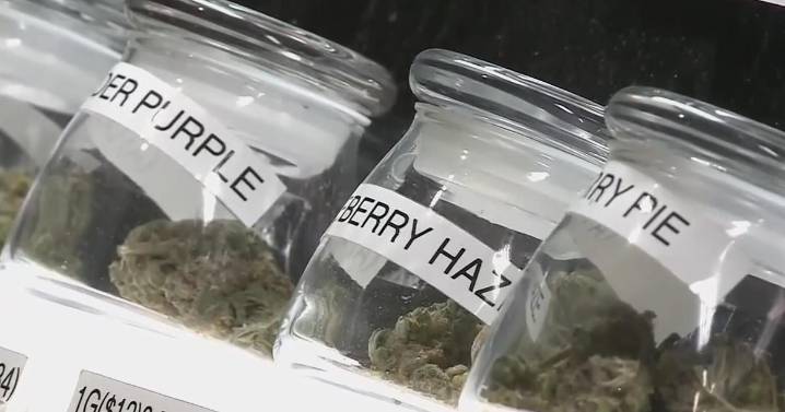 Bay Area cannabis business feeling relief as Gov. Newsom rolls back tax hike