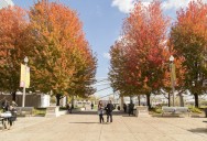 15 reasons fall in Chicago truly stands out—from someone who’s lived it