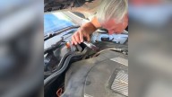 Georgia Mechanic Thought It Was Just Another Job Until He Heard A Cry From The Engine