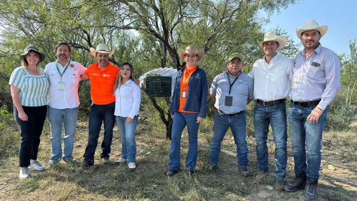 ¿Qué medidas implementa Nuevo León para combatir el gusano barrenador?