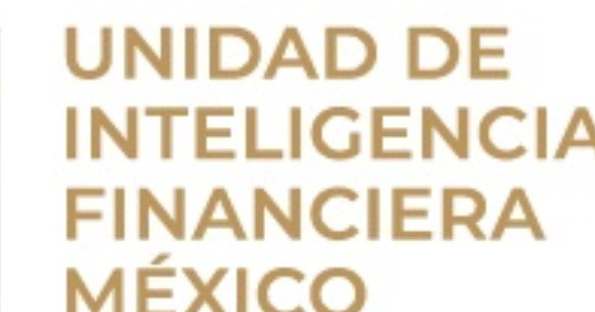 Bloquea UIF cuentas de diputada morenista y empresas con supuestos nexos al narco
