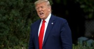 President Donald Trump Hit by Devastating Polls on Key Issues Like Immigration and the Economy