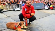 Lewis Hamilton: Ferrari driver provides update on his dog Roscoe's health after withdrawing from F1 tyre test