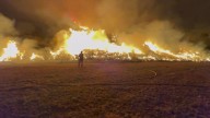 Muere un hombre en un incendio forestal en Villarejo de Órbigo (León)