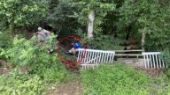 Maryland Family Races Through The Night For Their Missing Dog Until A Shocking Discovery In The Woods