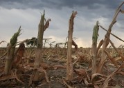 Se viene La Niña: Coquimbo acumularía hasta 10 mm de lluvias ¿Cómo, cuándo y dónde?