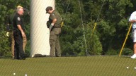 Eagle rescued from driving range in after unexpected visit