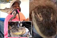 Pennsylvania pet owner Wesley Silva upset after emotional support alligator banned from Walmart