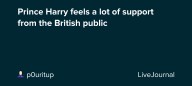 Prince Harry feels a lot of support from the British public: ohnotheydidnt