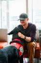 Sharing Your Life With a Dog: 5 Benefits