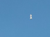 It's a bird, it's a plane. No, it's a giant character balloon over Washtenaw County.