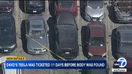 D4vd's Tesla was reportedly ticketed 11 days before Celeste Rivas Hernandez's body was found