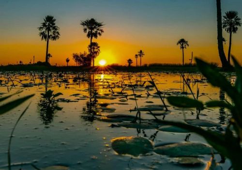 Educación prepara nuevas líneas de acción del Programa de Educación Ambiental