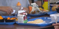 Free school meals extended in Fowlerville amid state budget delay