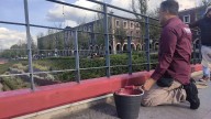 Parque de la Ciencia Fundadores se pinta de guinda previo a la Filem