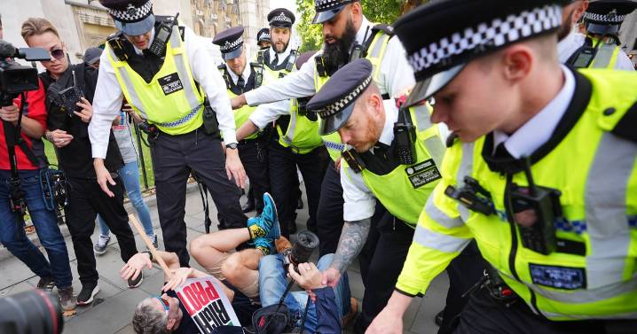 Chants of 'shame on you' after arrests at protest 'in support of Palestine Action'