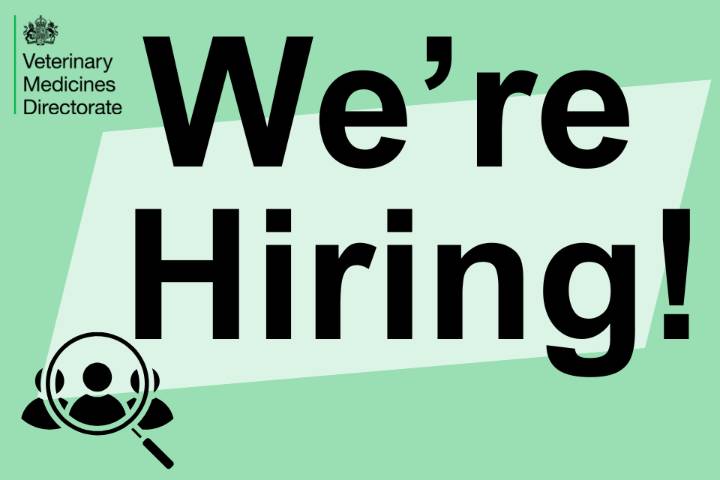Recruitment for an Innovation Facilitator