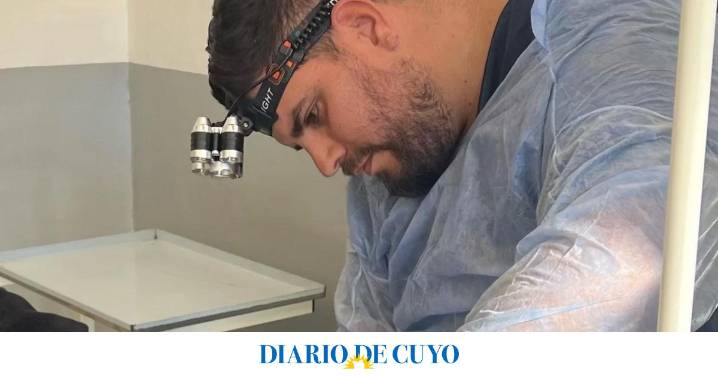 Histórico: un policía veterinario realizó la primera cirugía en la División Canes