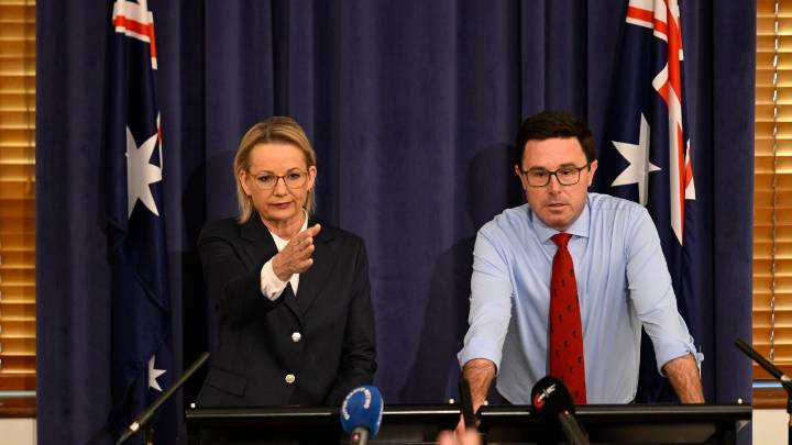 Liberal Senator Jane Hume downplays dire poll, but admits Coalition has 'a lot of ground to make up' ahead of next election