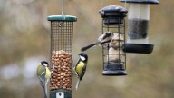 Don't Toss An Old Or Broken Bird Feeder When There Are 10 Fun Ways To Repurpose Them