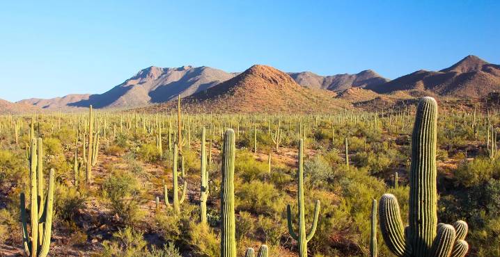 See Arizona natural wonders on Free National Park Day Sept. 27