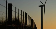 Plan to protect threatened species in energy transition