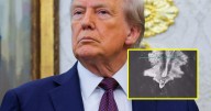 “Mucho ruido y pocas nueces”: Burlas hacia Donald Trump por la destrucción de una “lancha” con drogas en Venezuela que la anunciaron con bombo y platillo