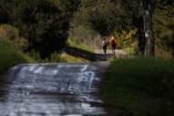 Midpen opens new cycle of grants for nature