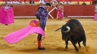 Colombia: Corte Constitucional respalda ley que prohíbe corridas de toros, peleas de gallos y cabalgatas